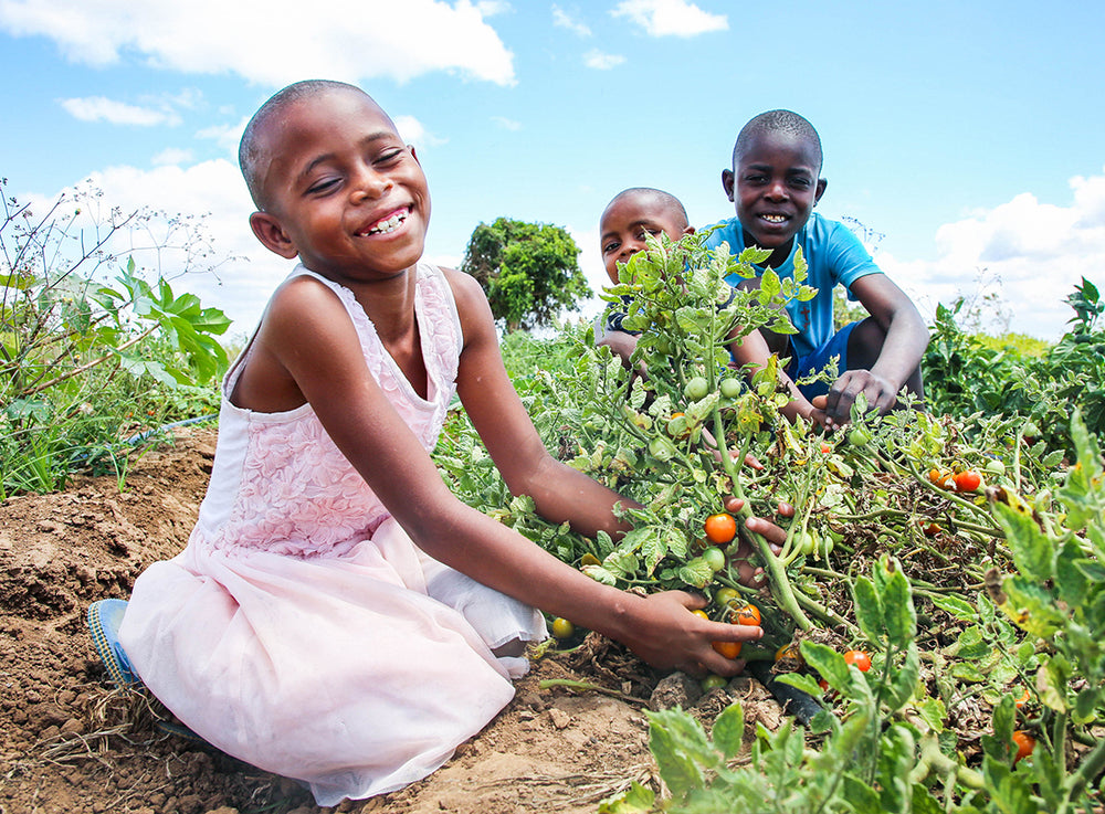 Trois enfants assis dans un jardin regorgeant de tomates font un sourire au photographe.